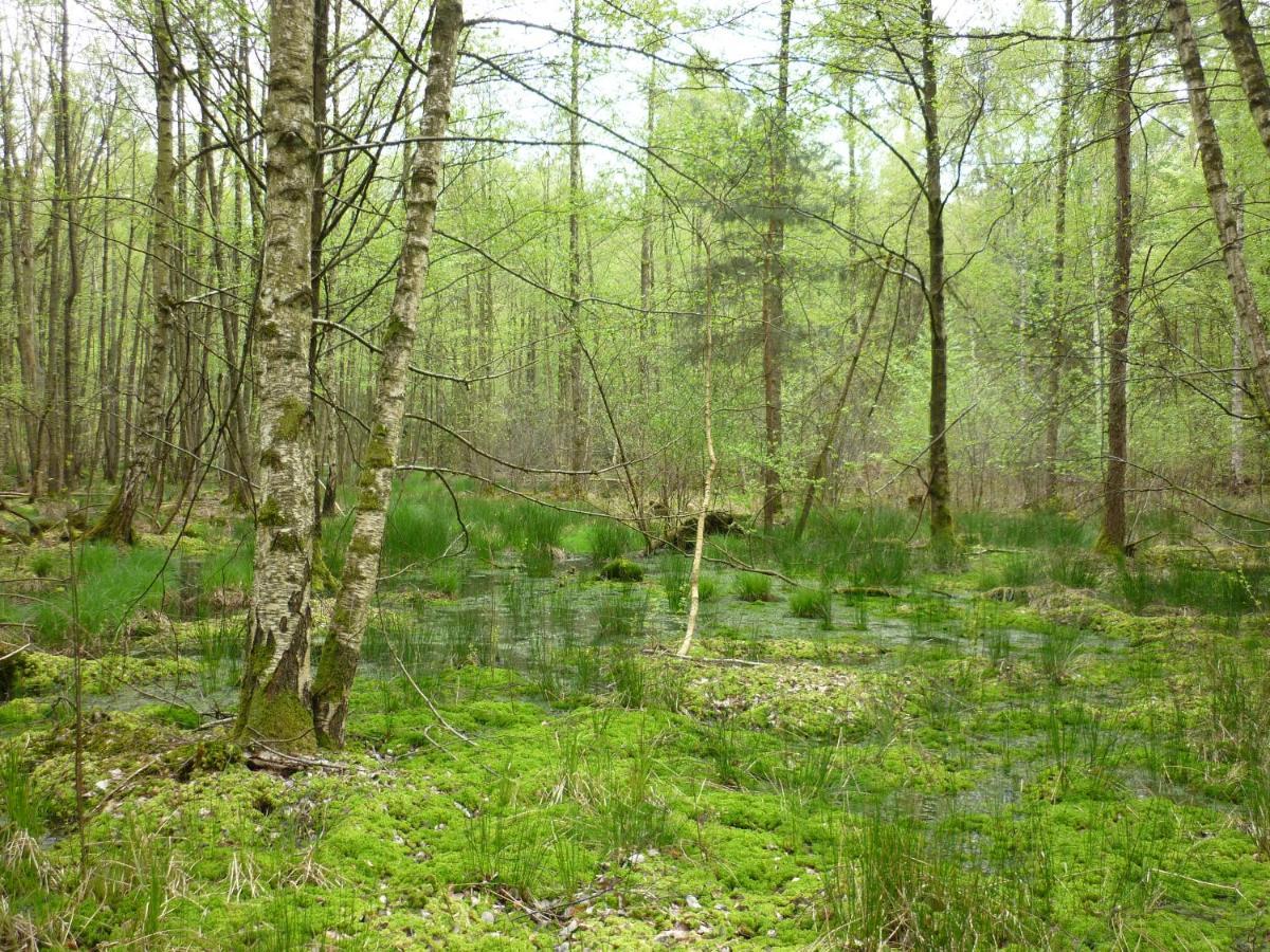 Haus Am Sandsteinbruch Zaberfeld Bagian luar foto